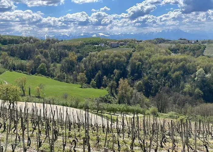 Dom wakacyjny Spicchio Di Langa - Casa Indipendente Tra Le Vigne E Le Alpi *